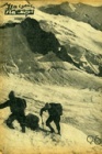 Гибель четырех альпинистов на Миссес-Тау